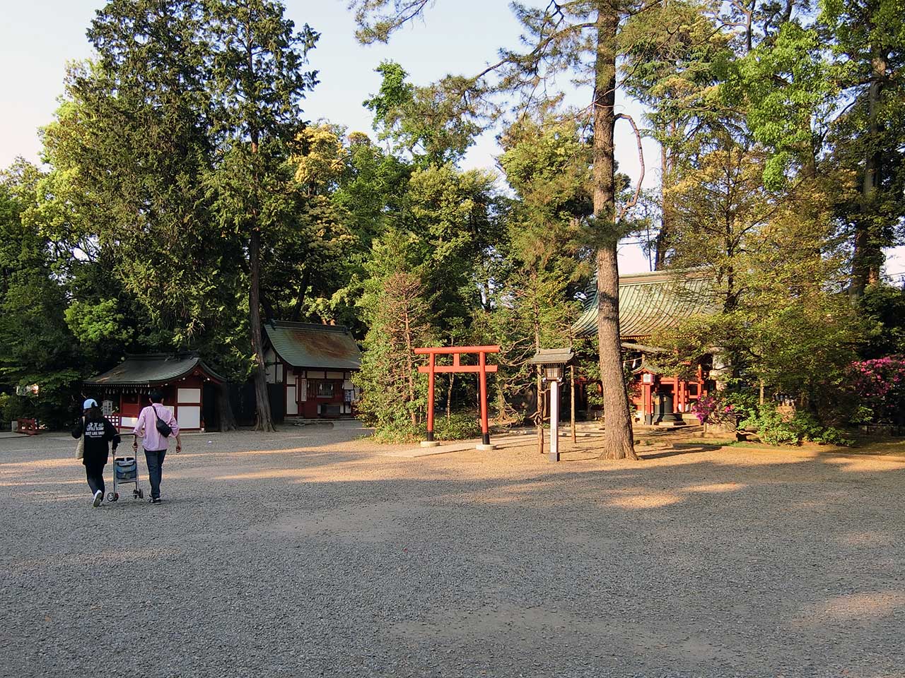 写真