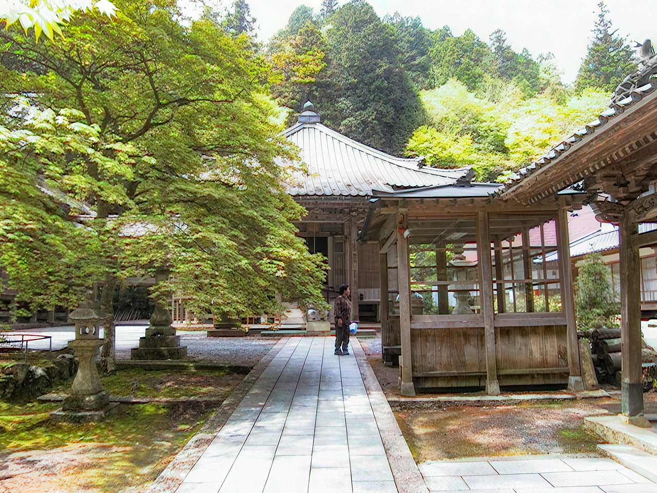 写真