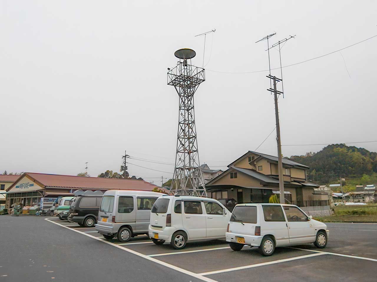 写真
