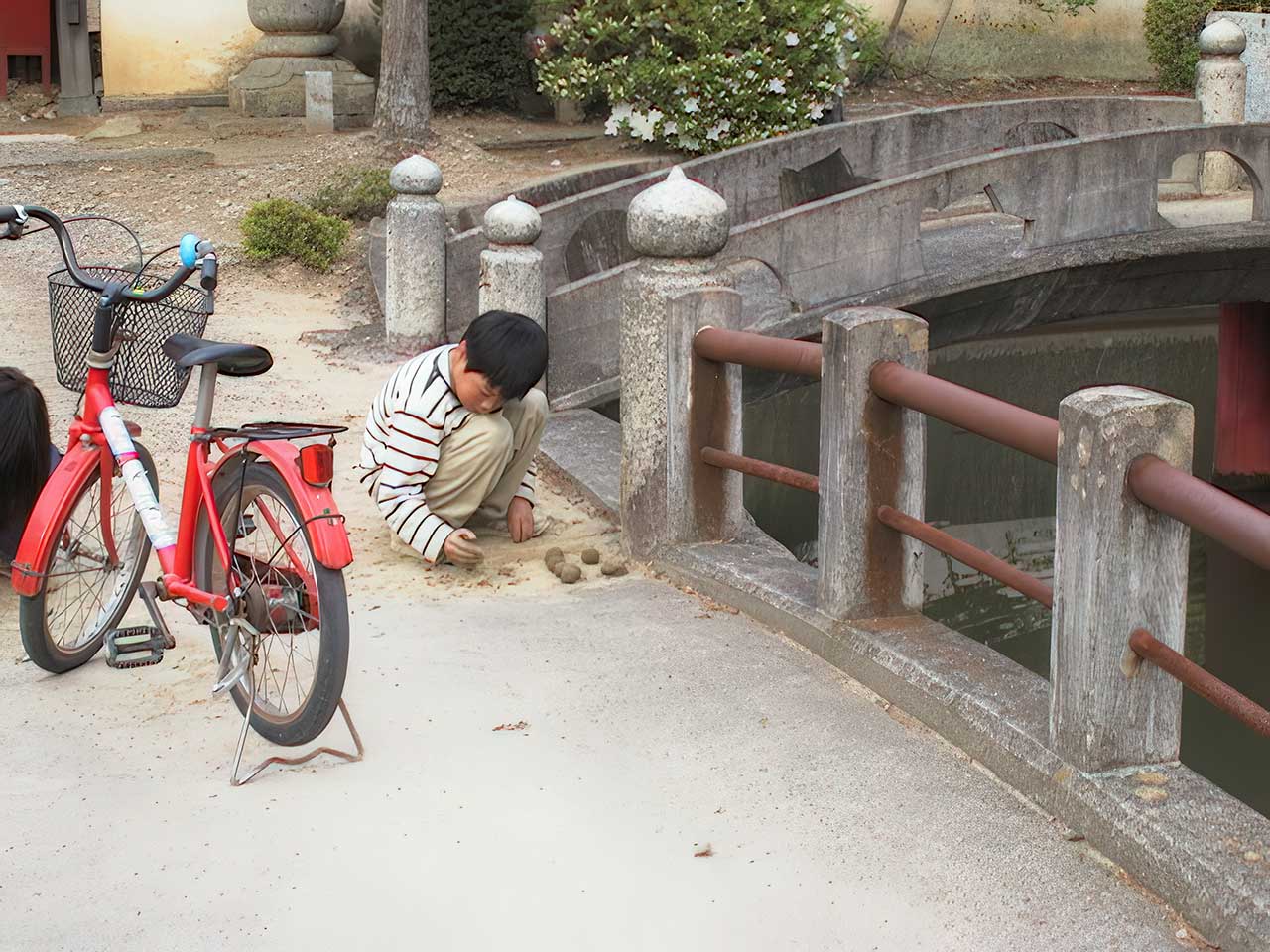 写真