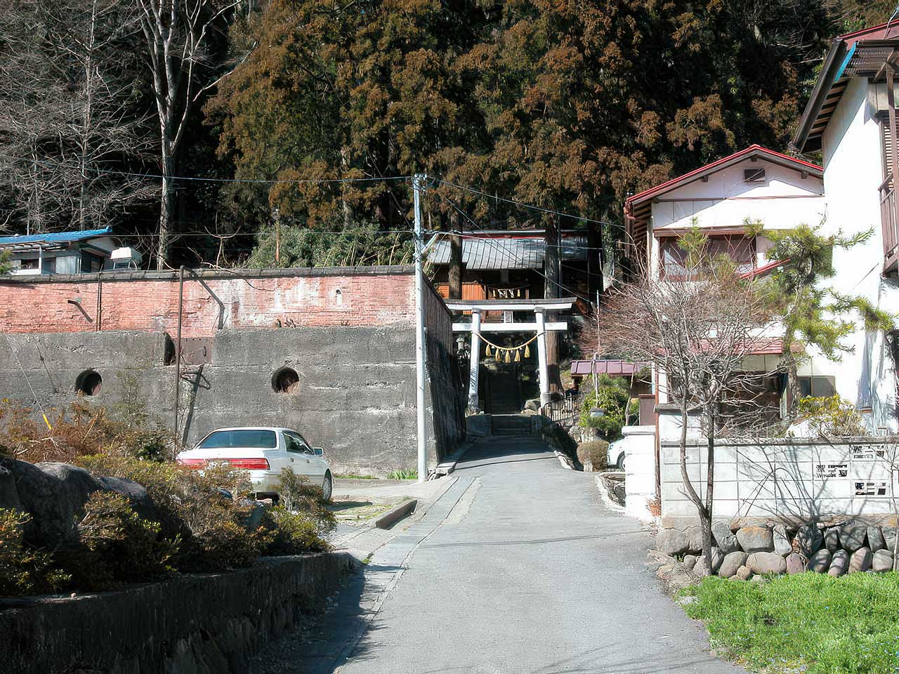 写真