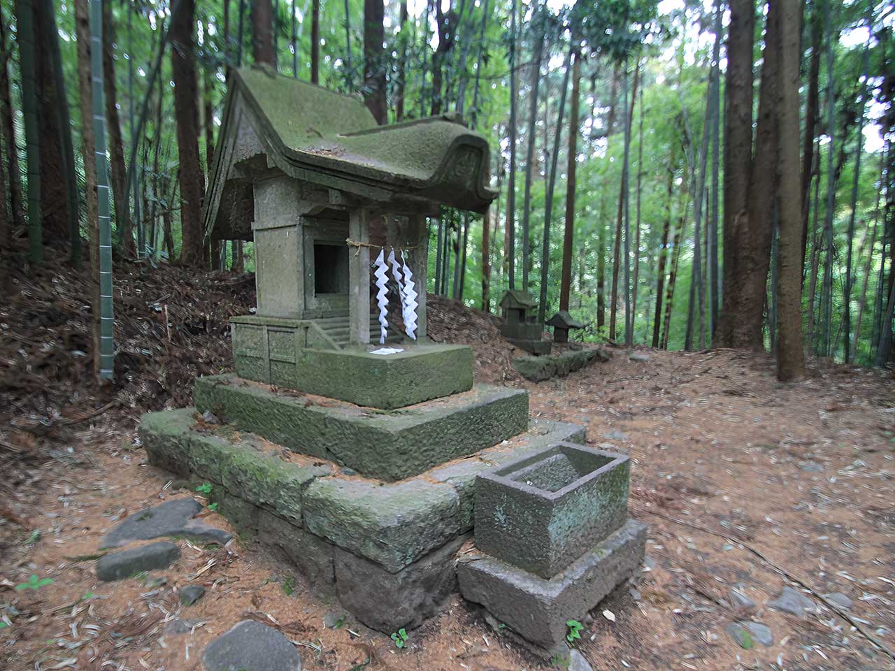 写真