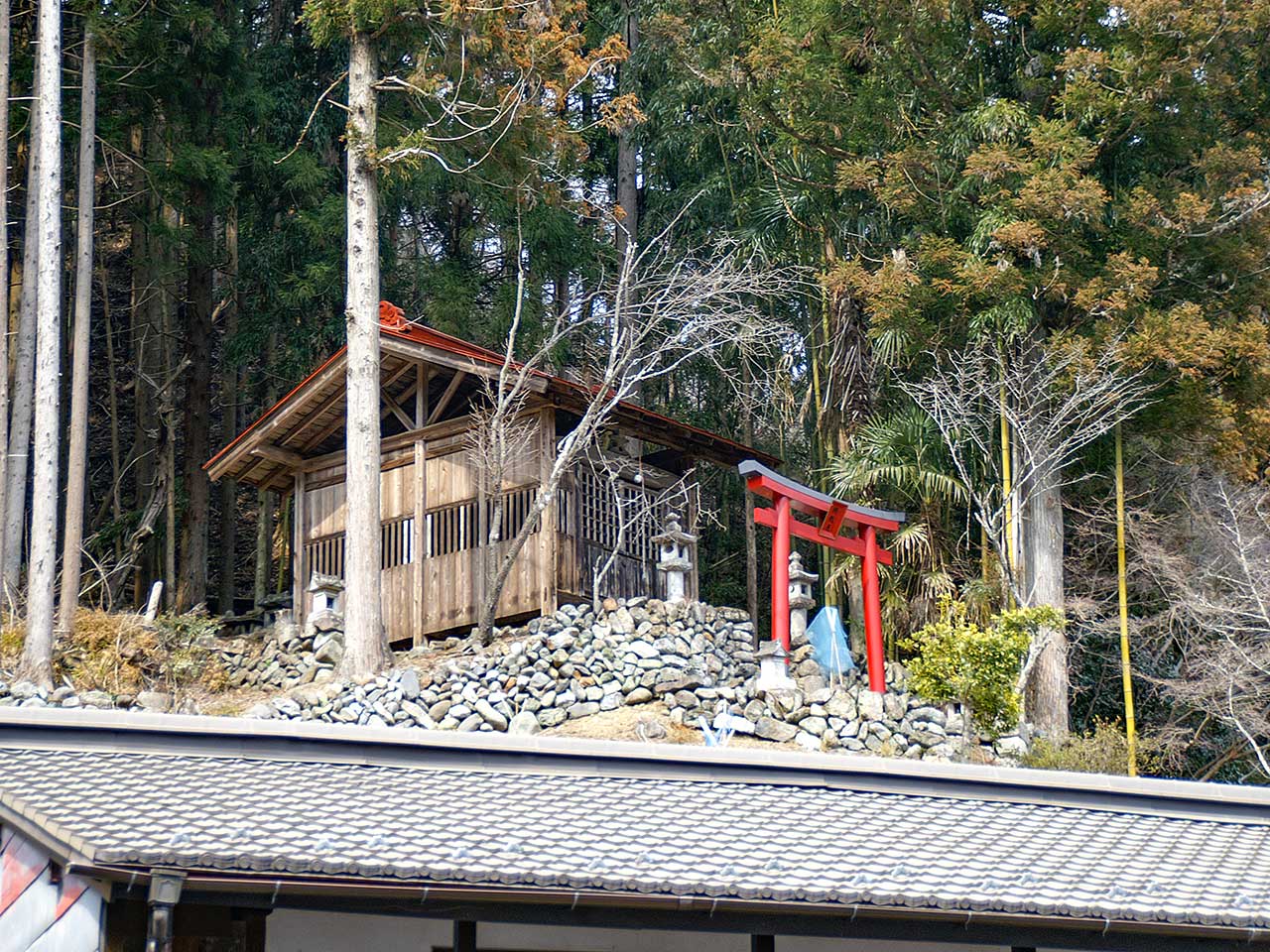 写真