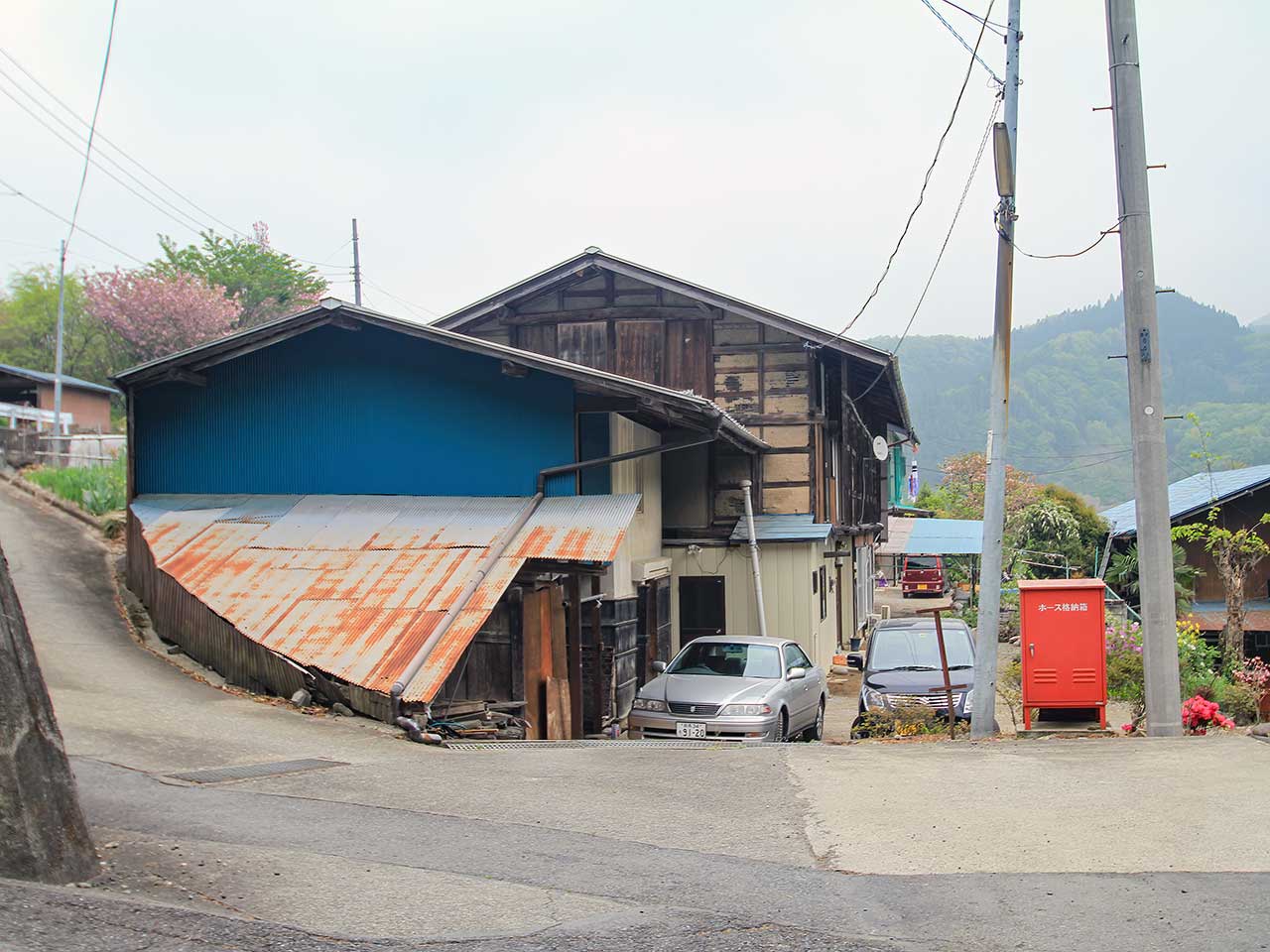 写真