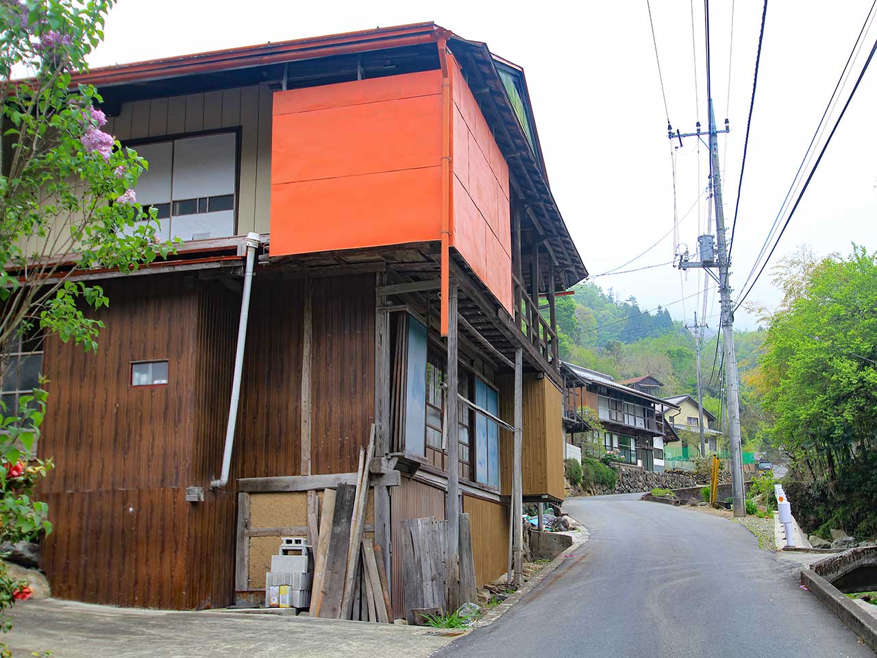 写真