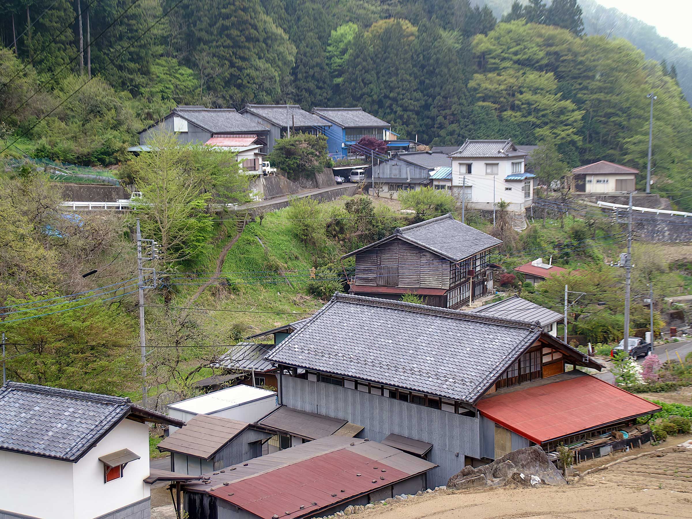 写真