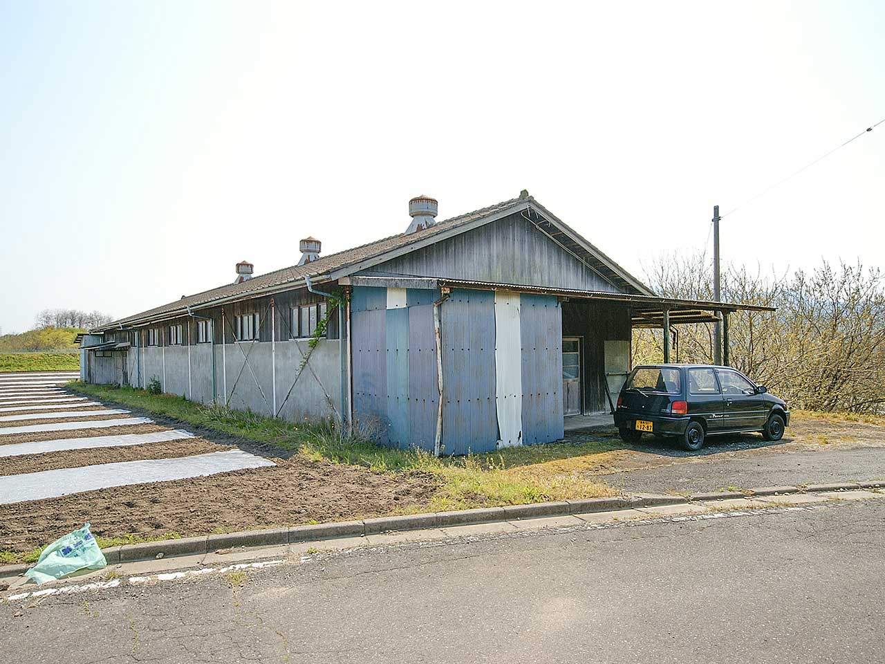 写真