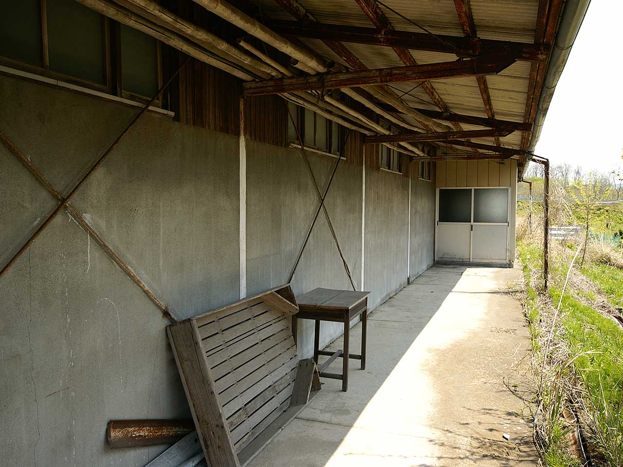 写真