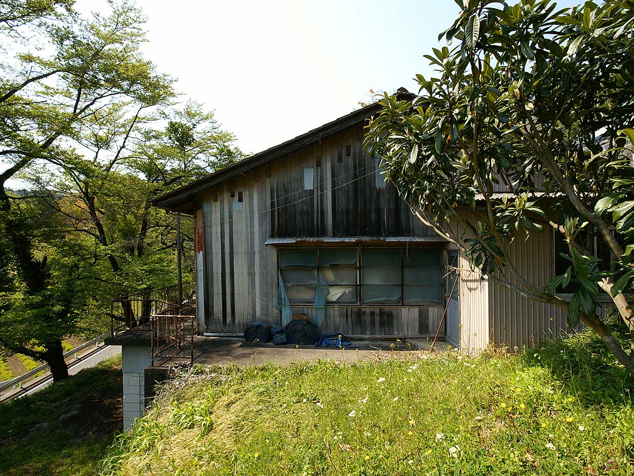 写真