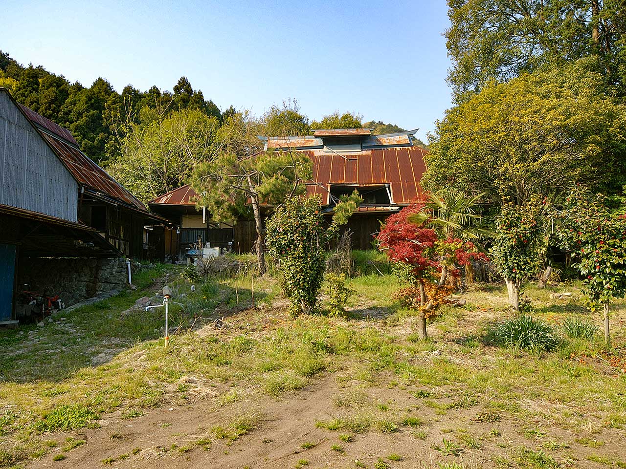 写真