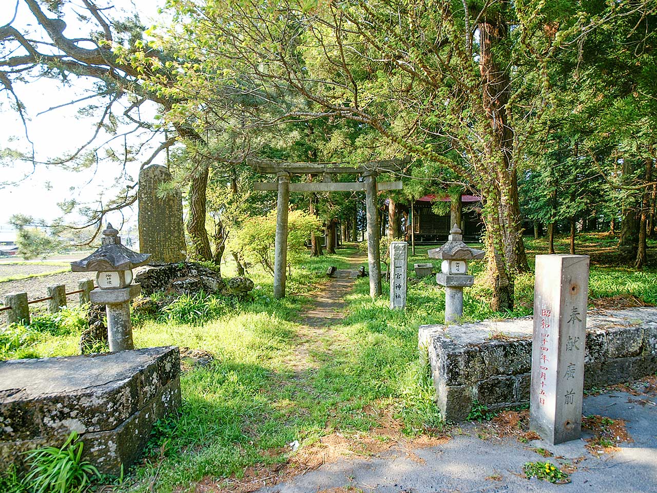 写真