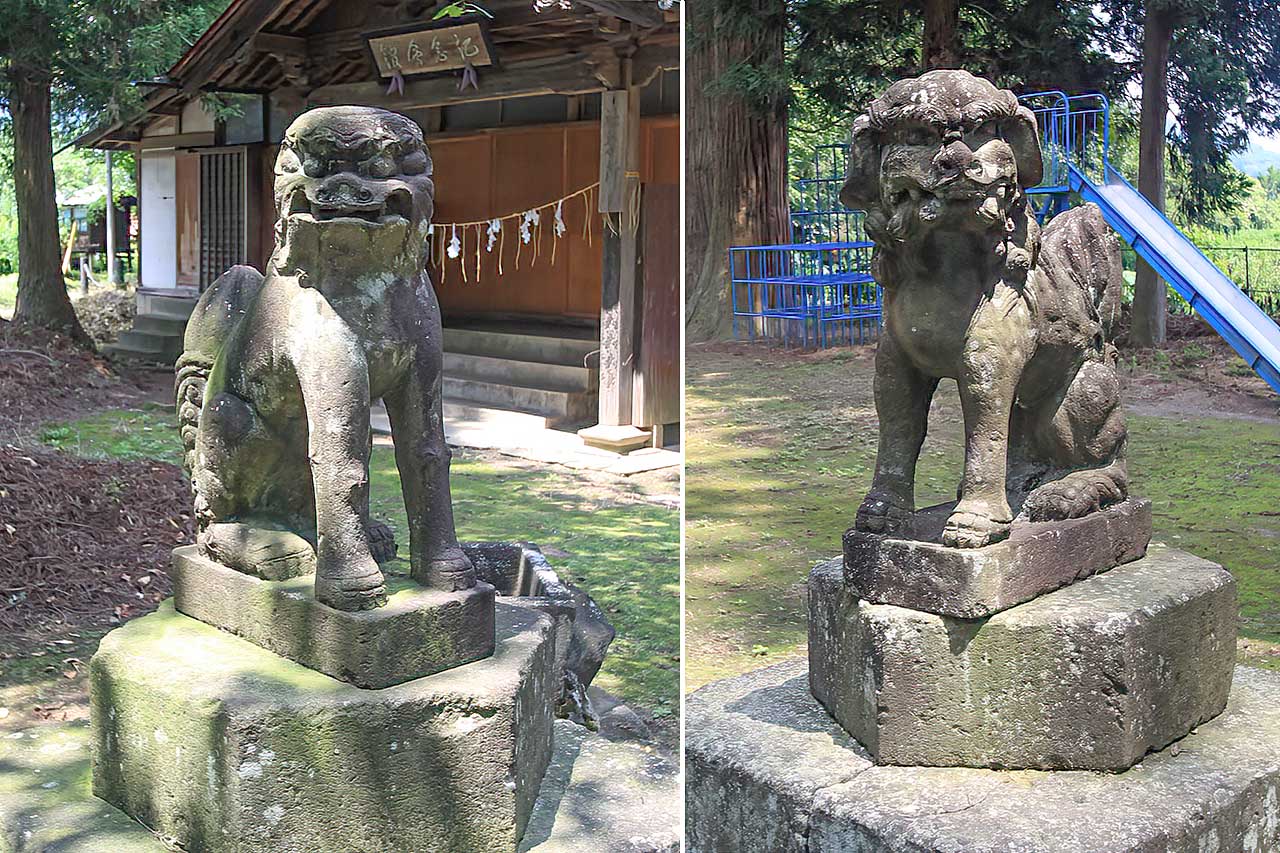 写真