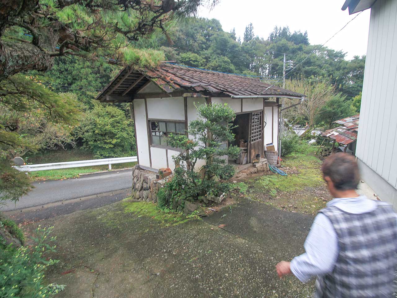 写真
