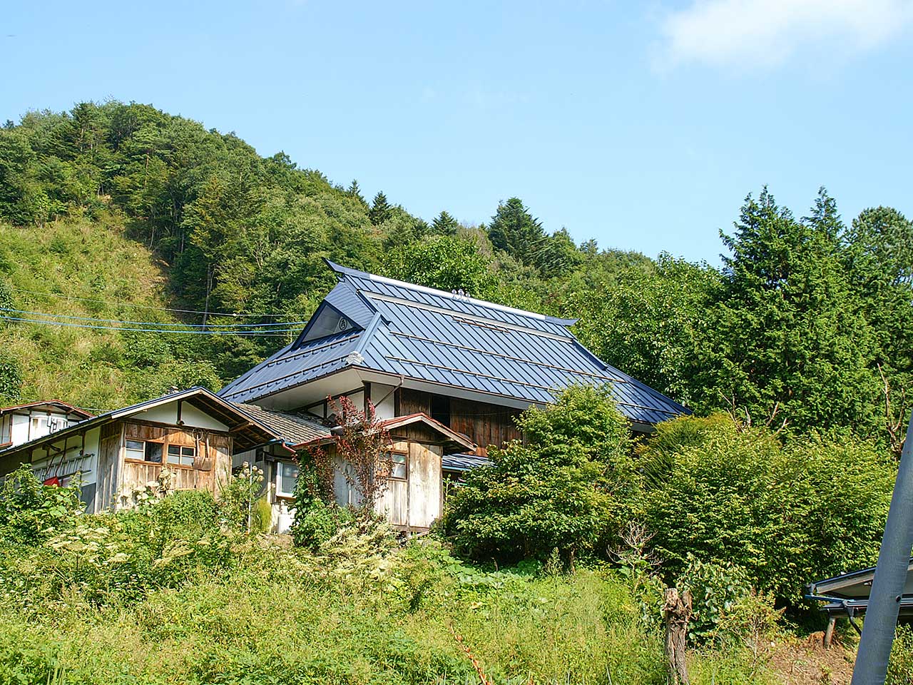 写真