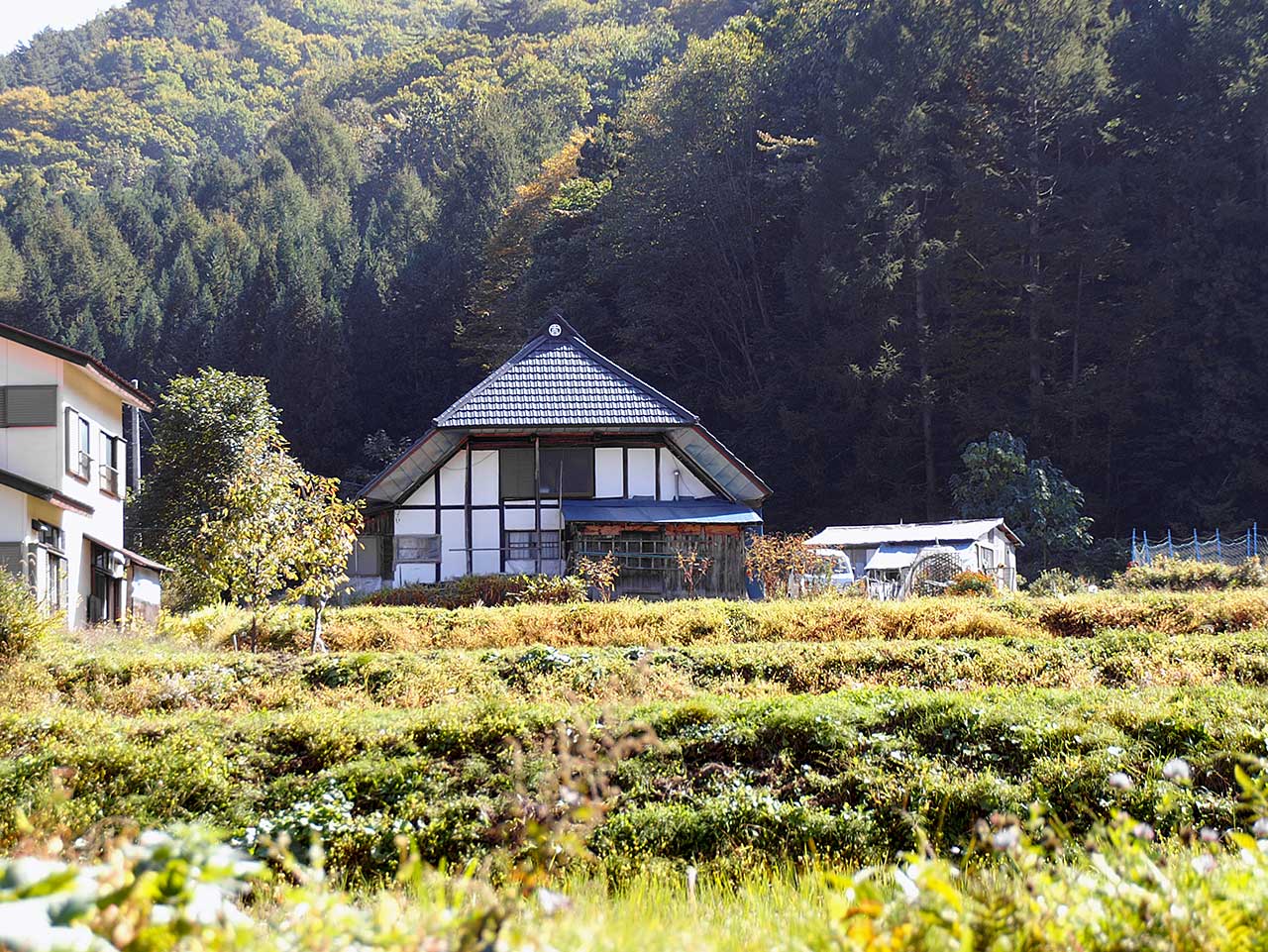 写真