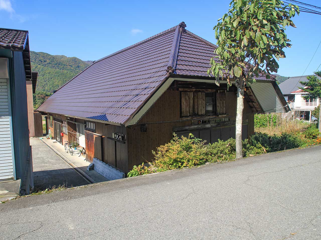 写真