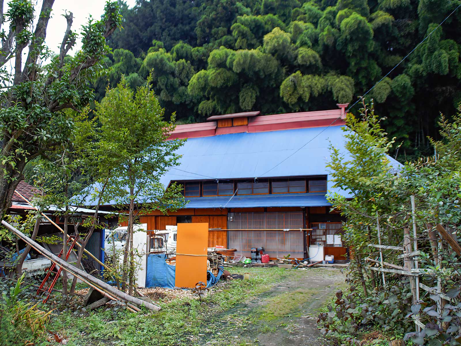 写真