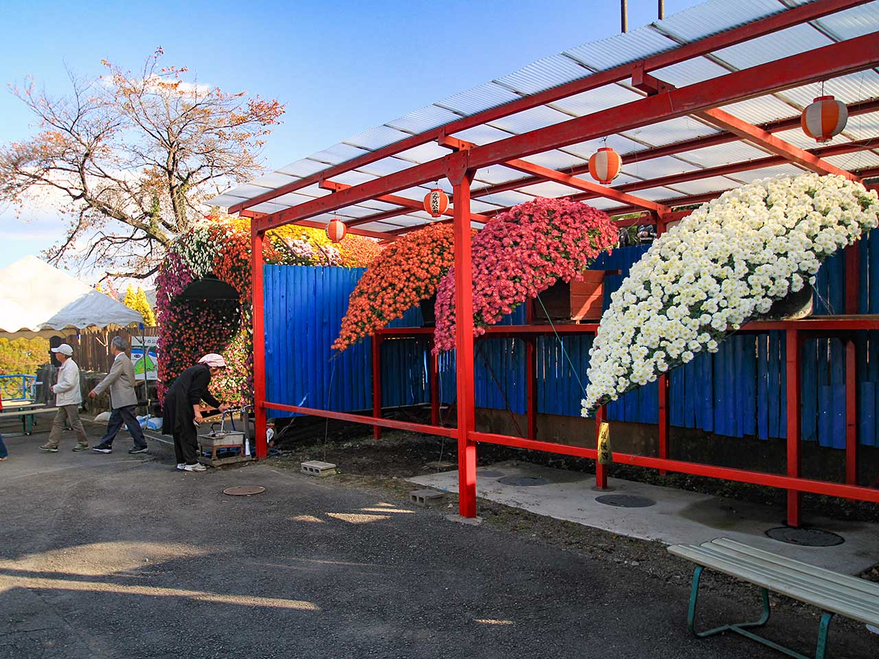 写真