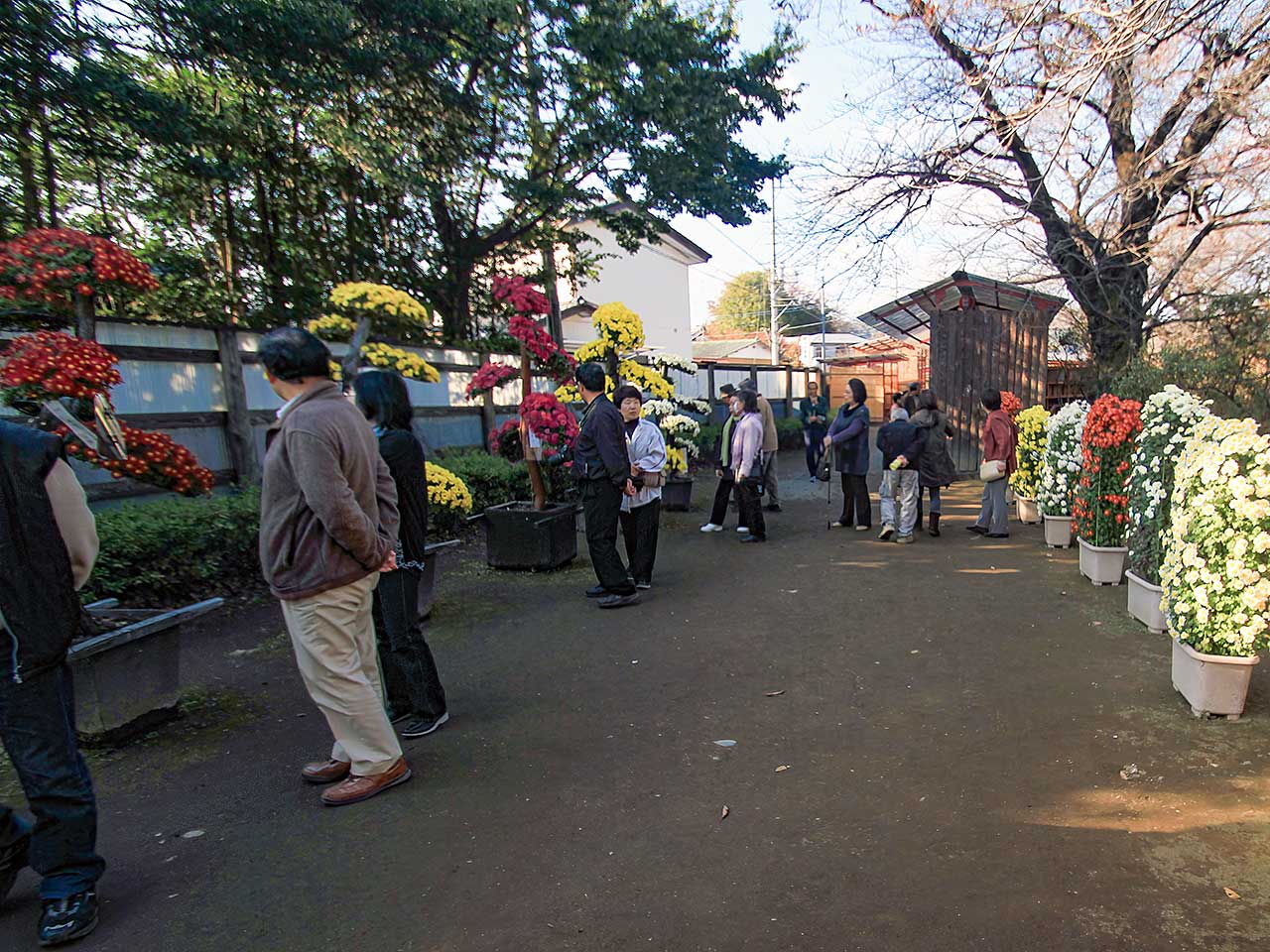 写真