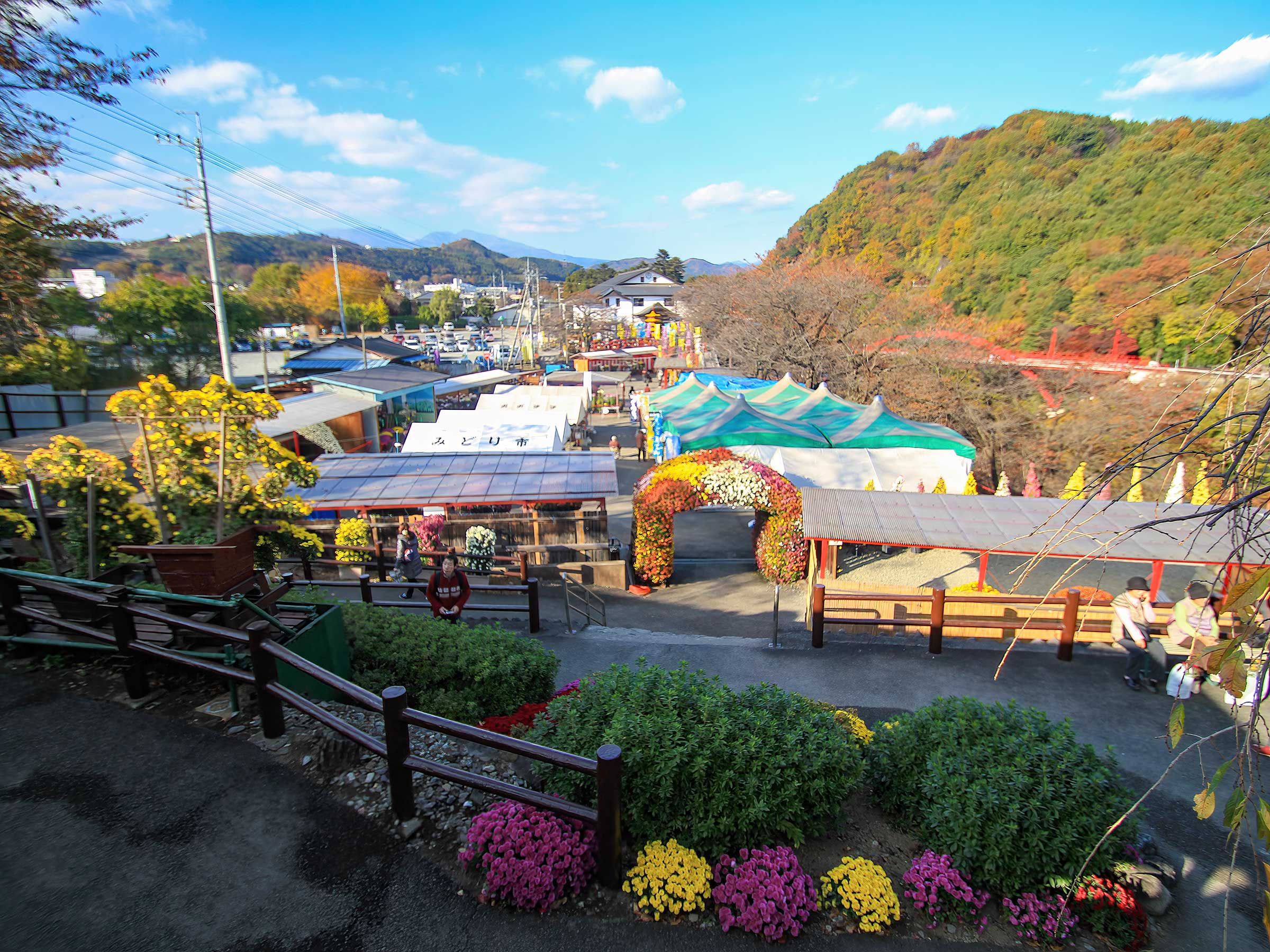 写真