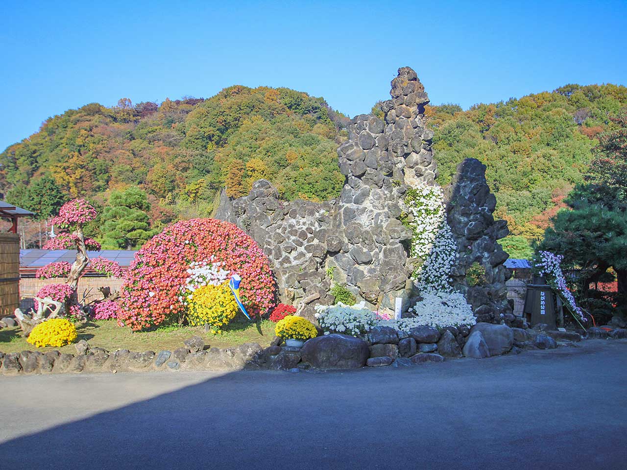 写真