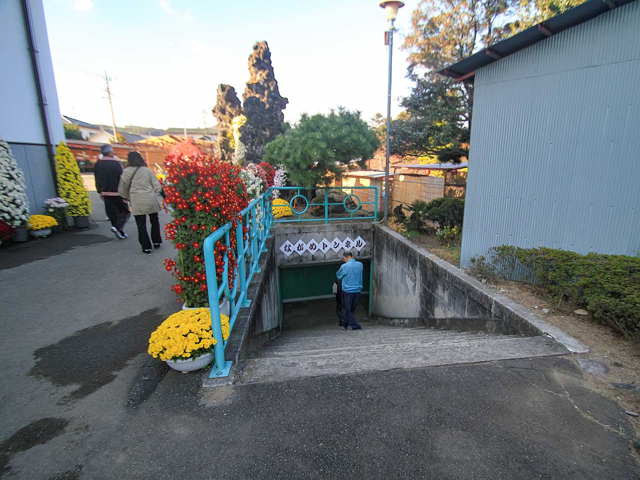 写真