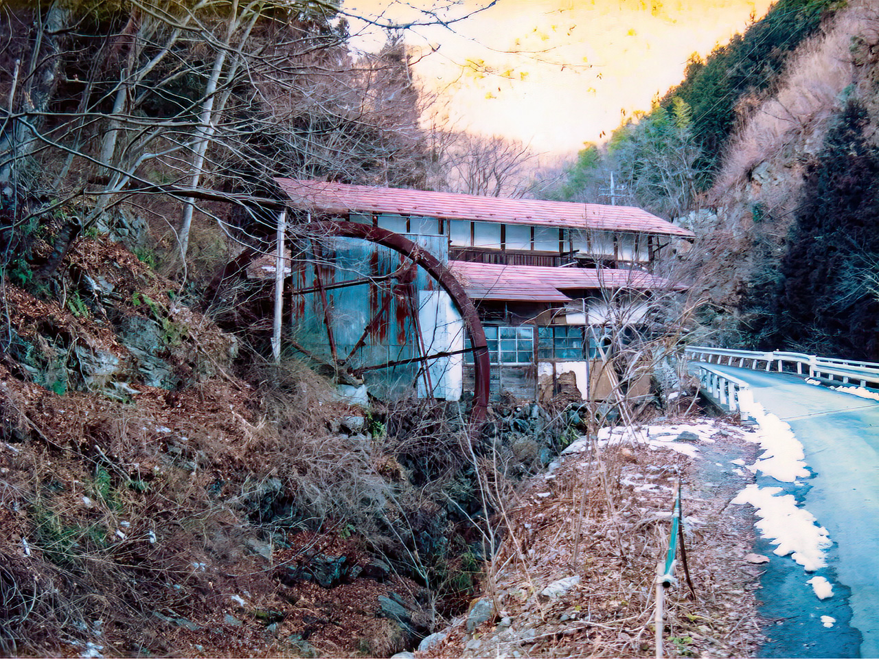写真