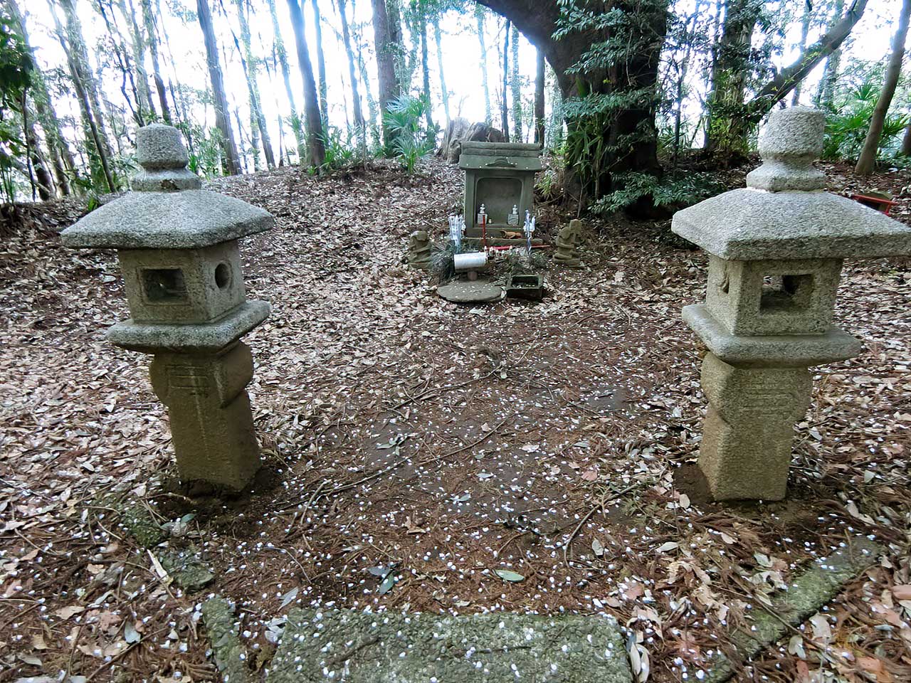 写真