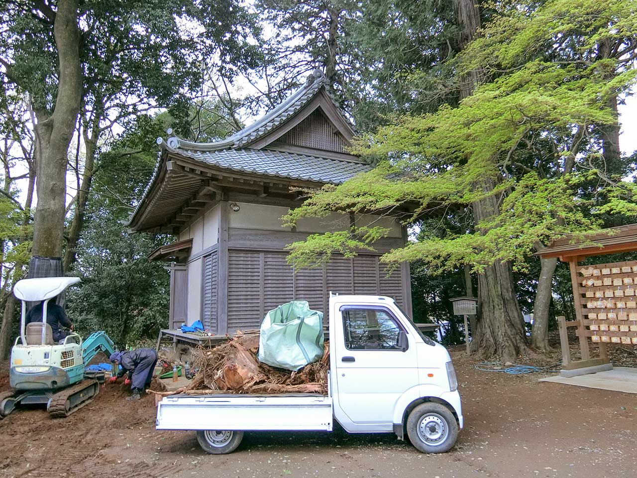 写真
