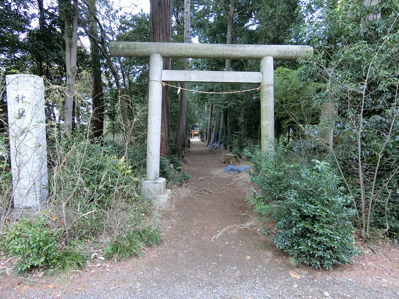 写真