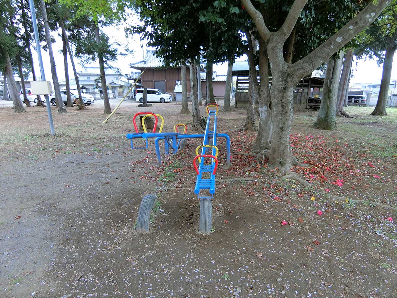 写真