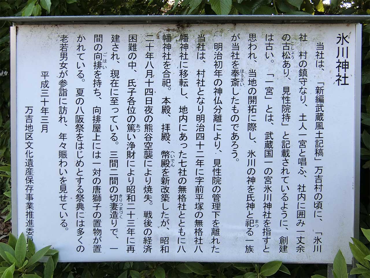 写真