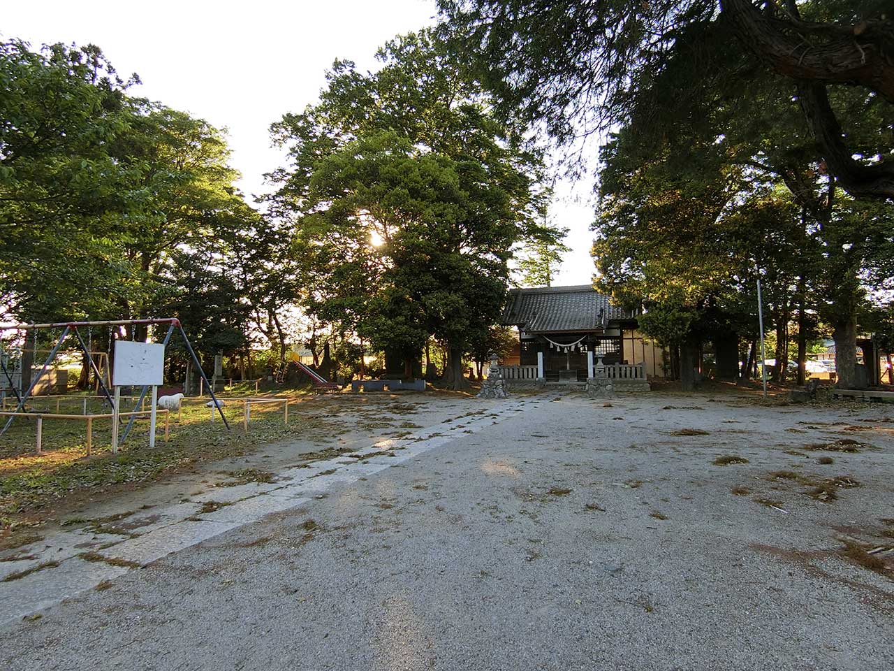写真