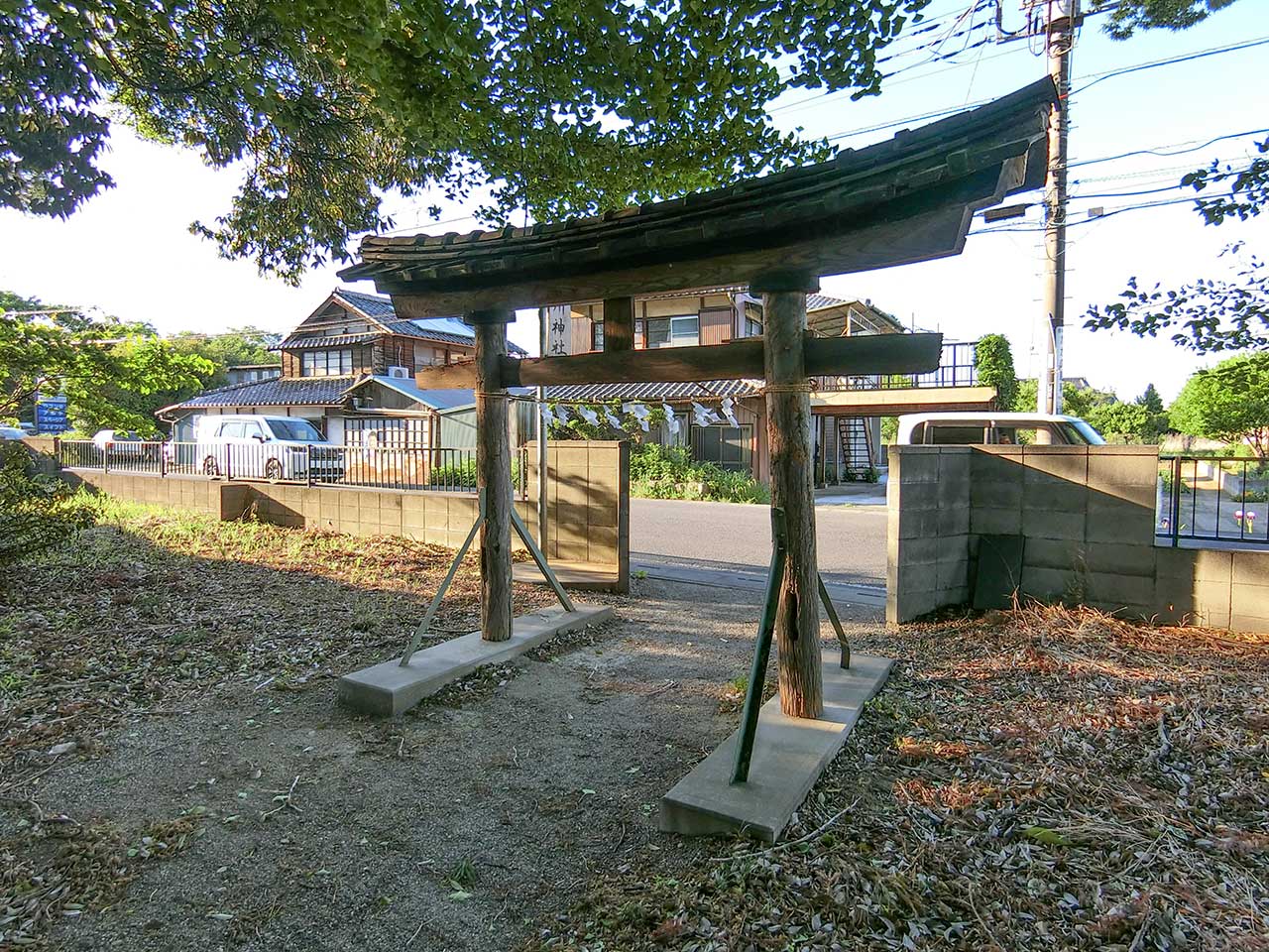 写真
