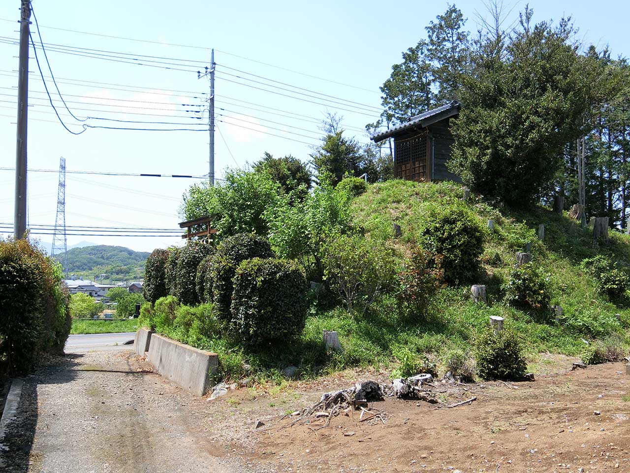 写真