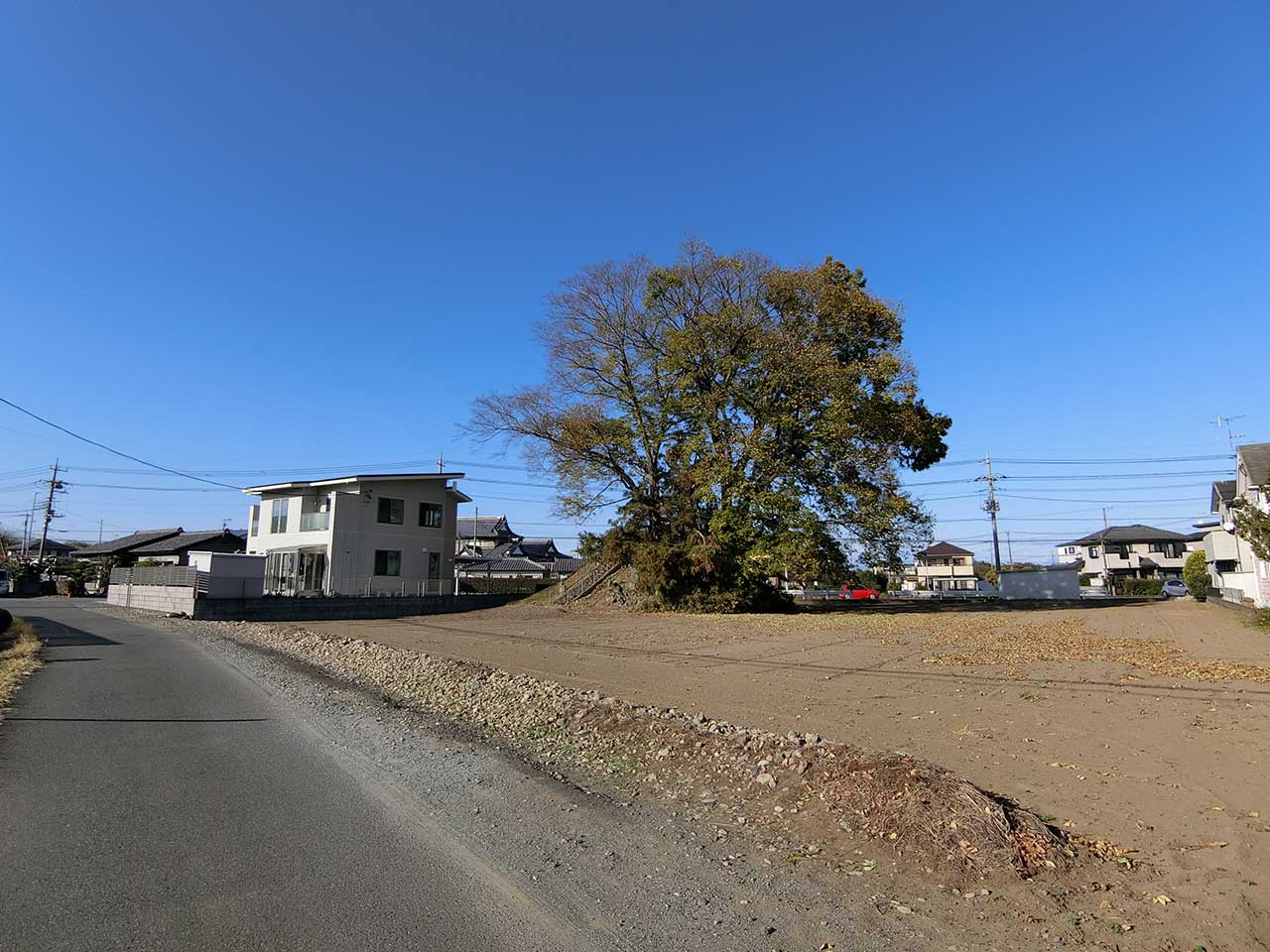 写真