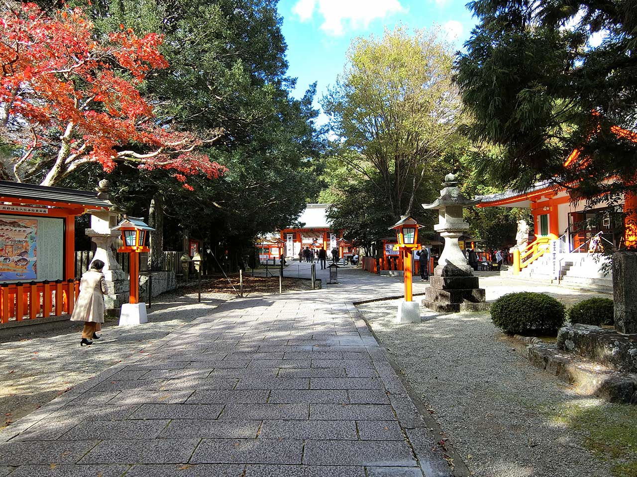 写真