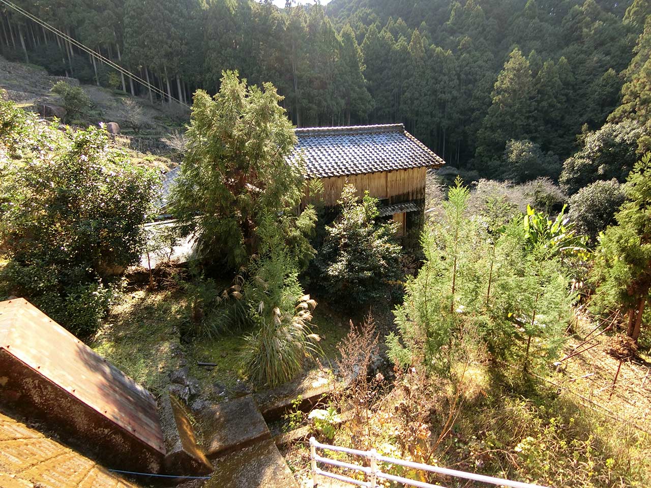 写真