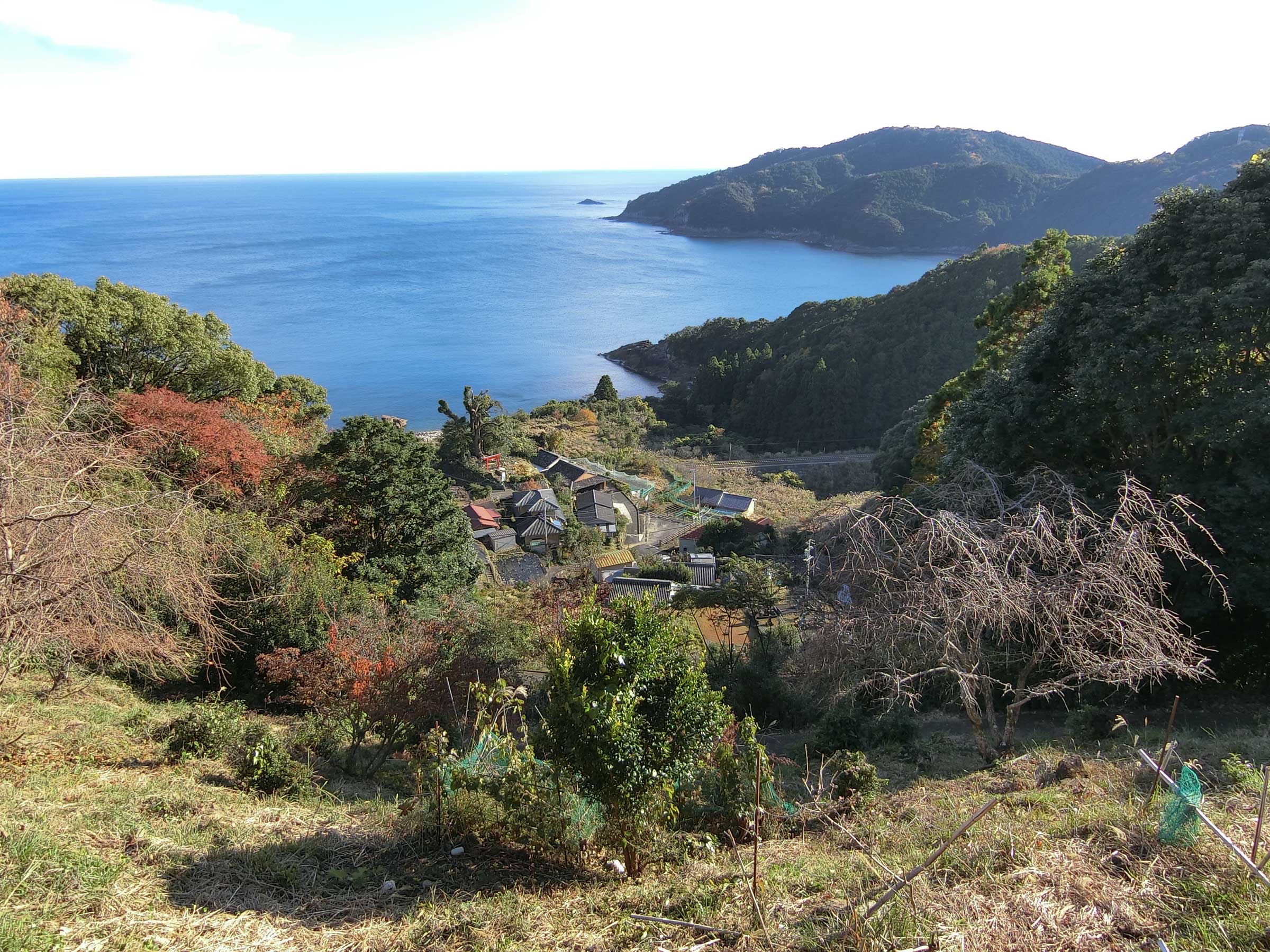 写真