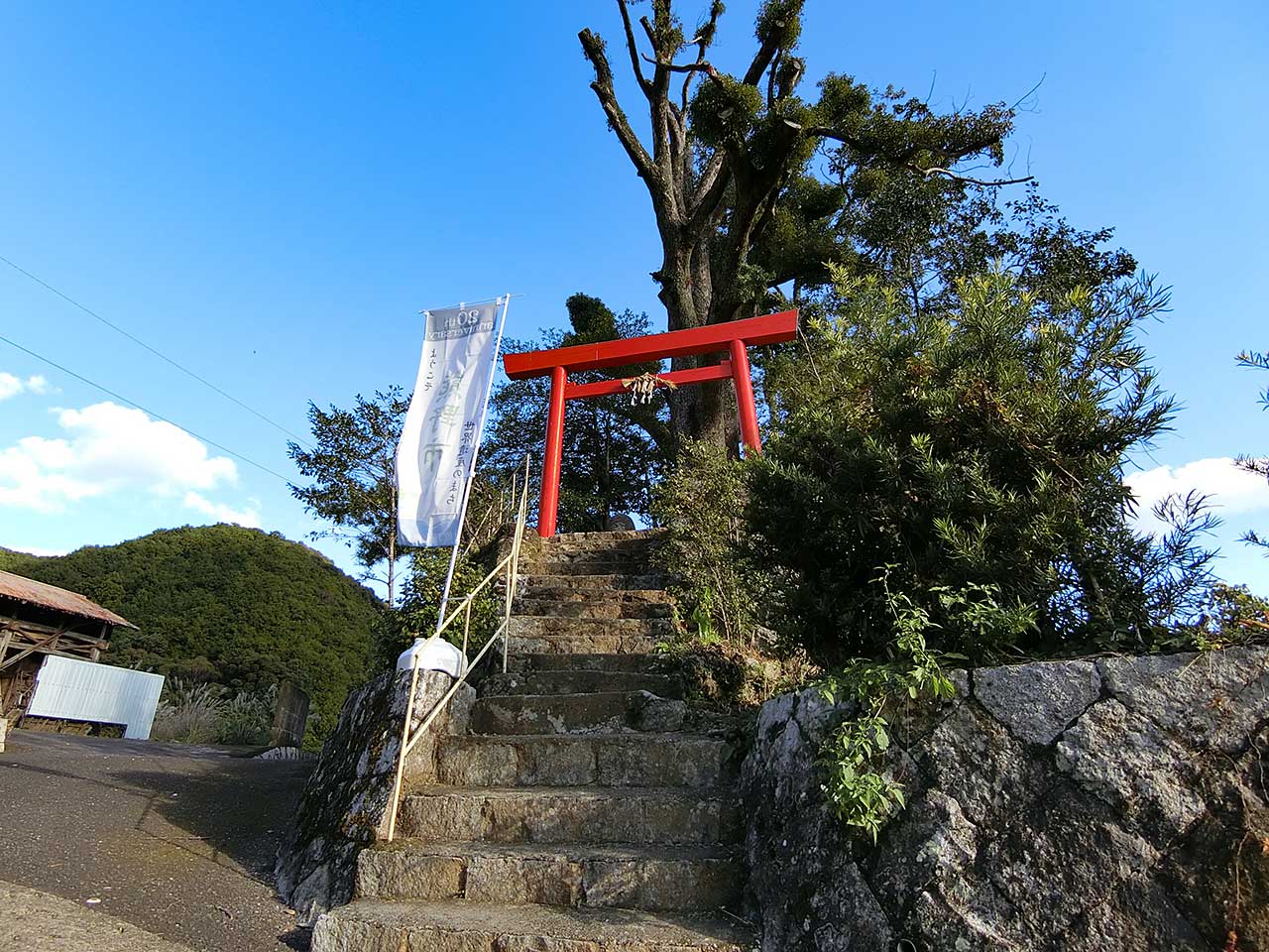 写真