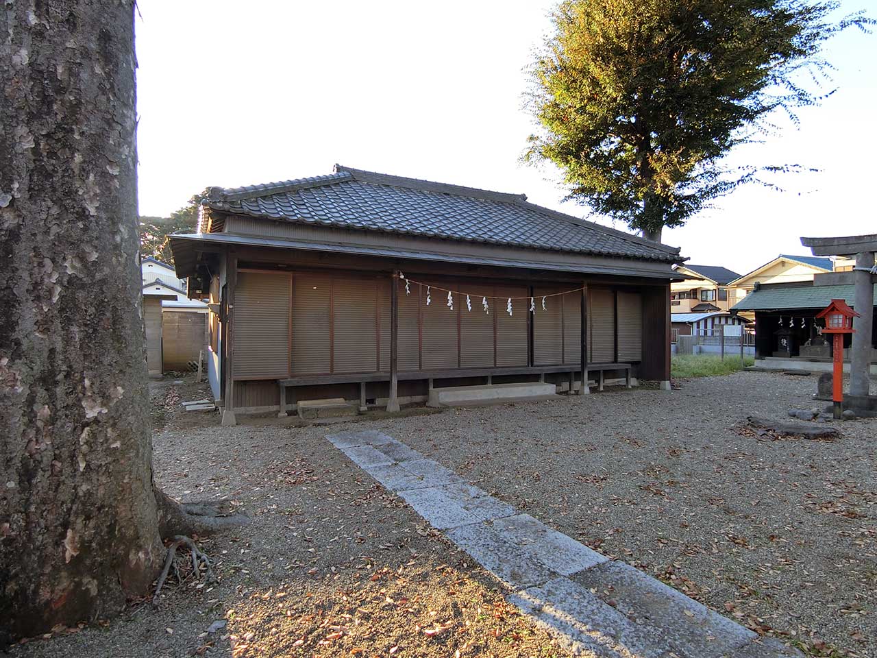 写真