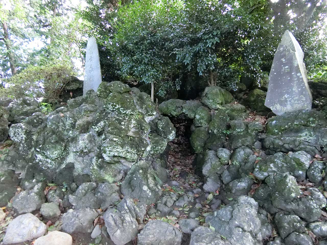 写真