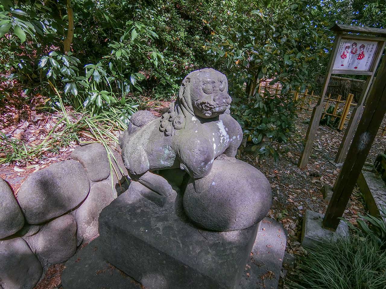 写真