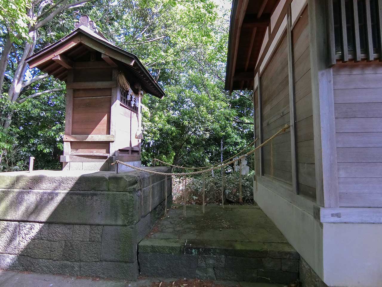 写真