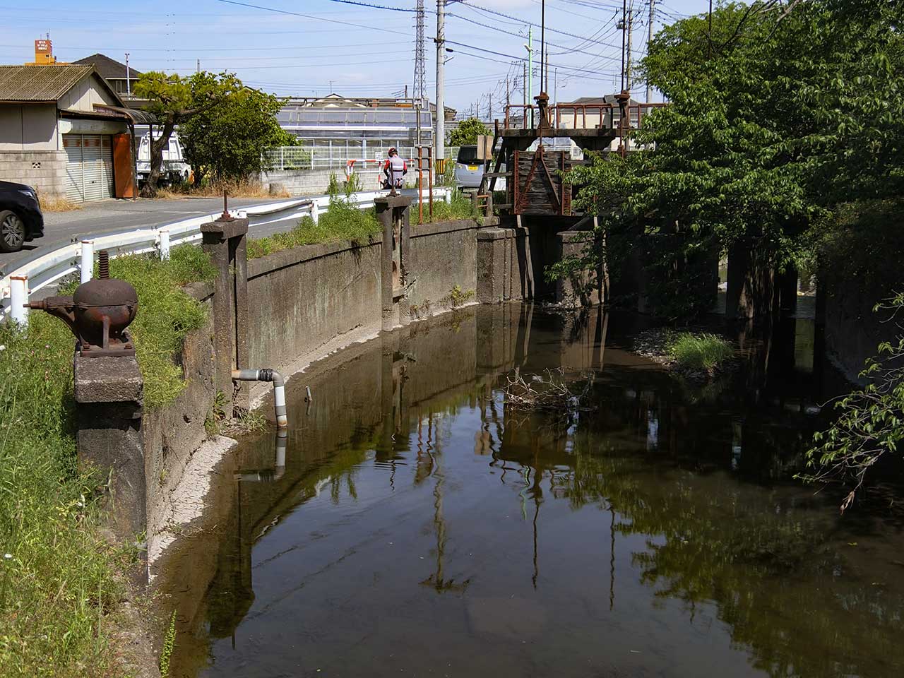 写真