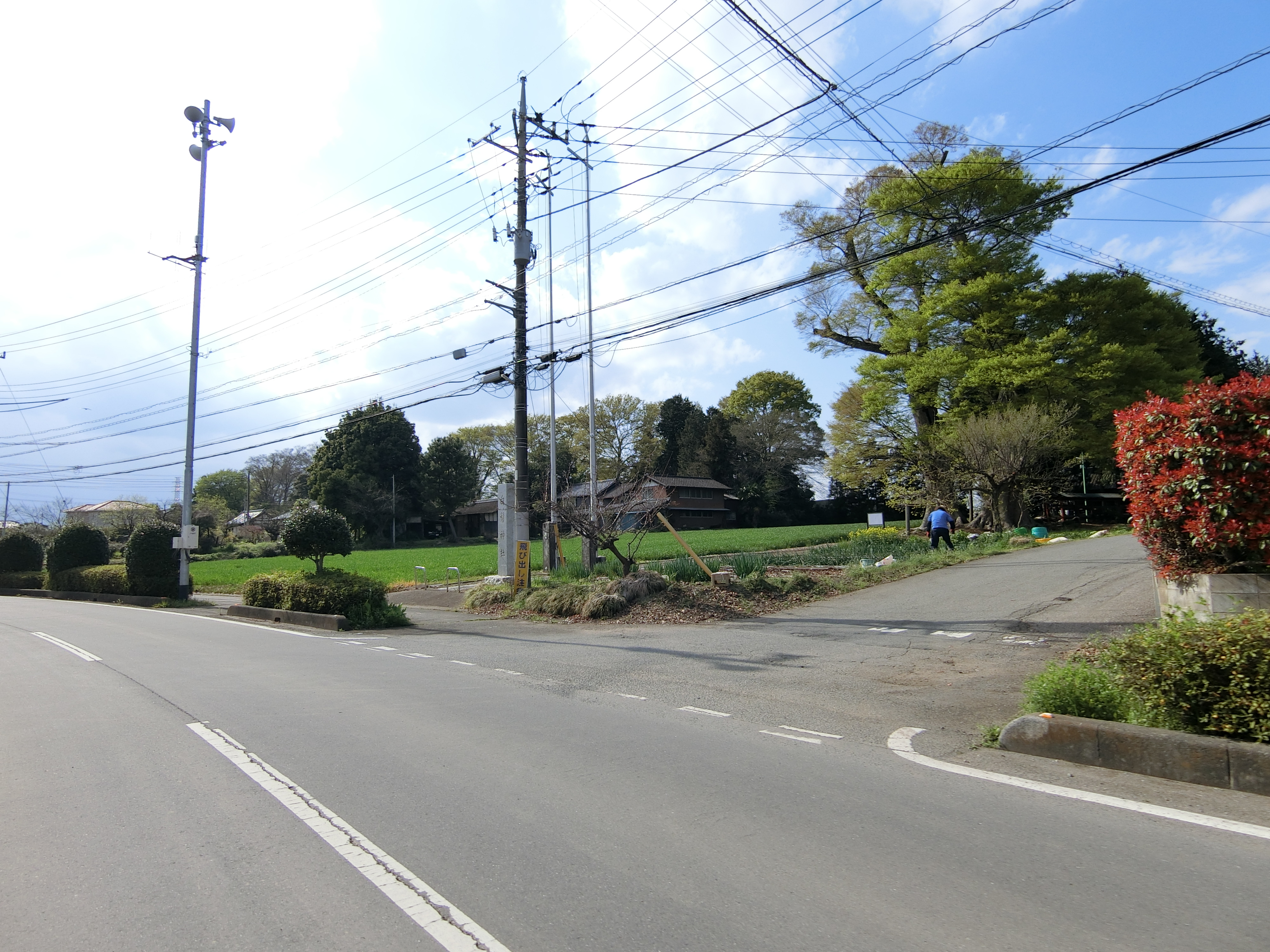 写真