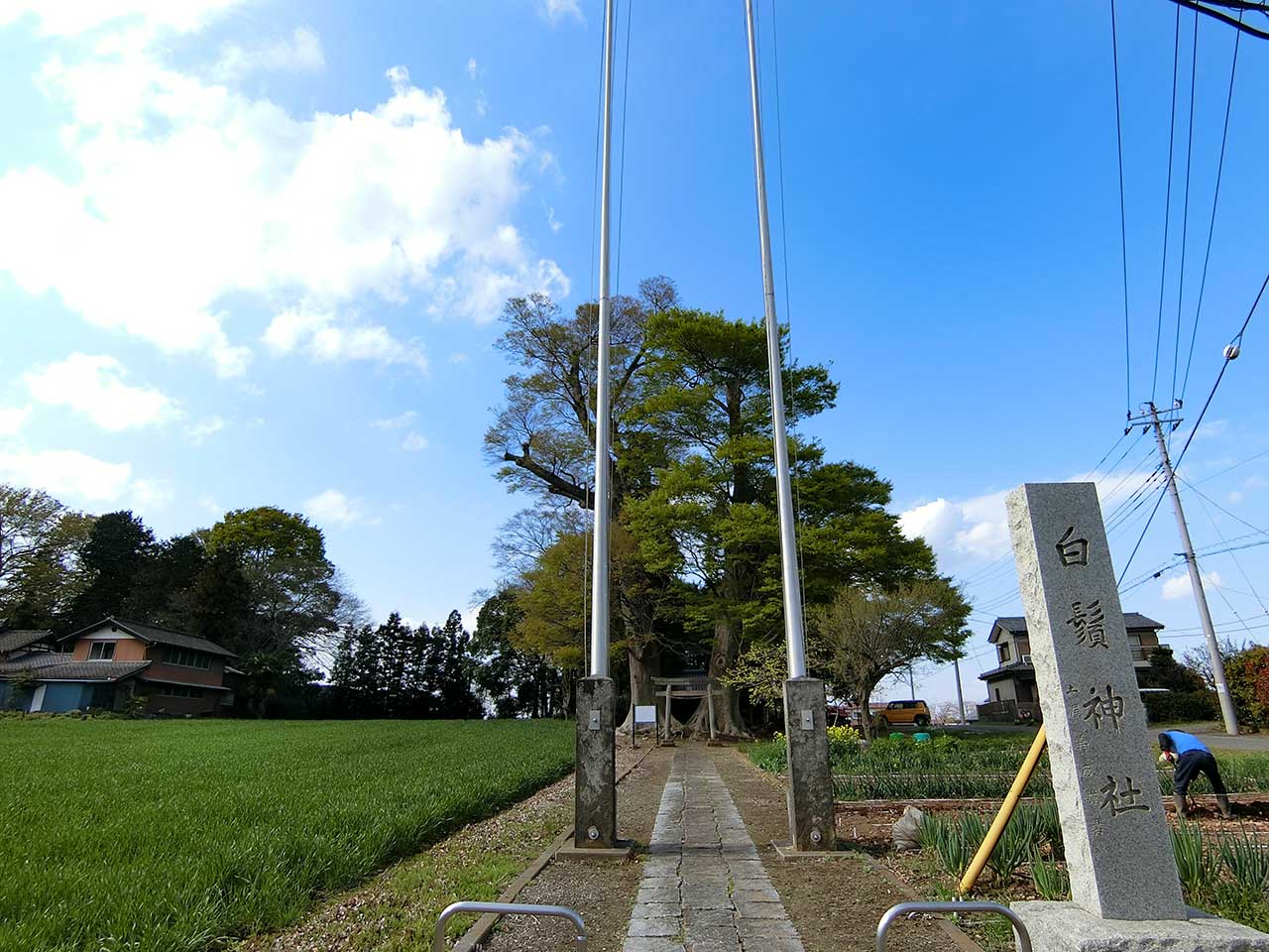 写真