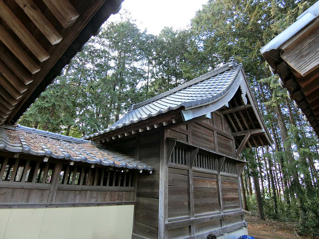 写真
