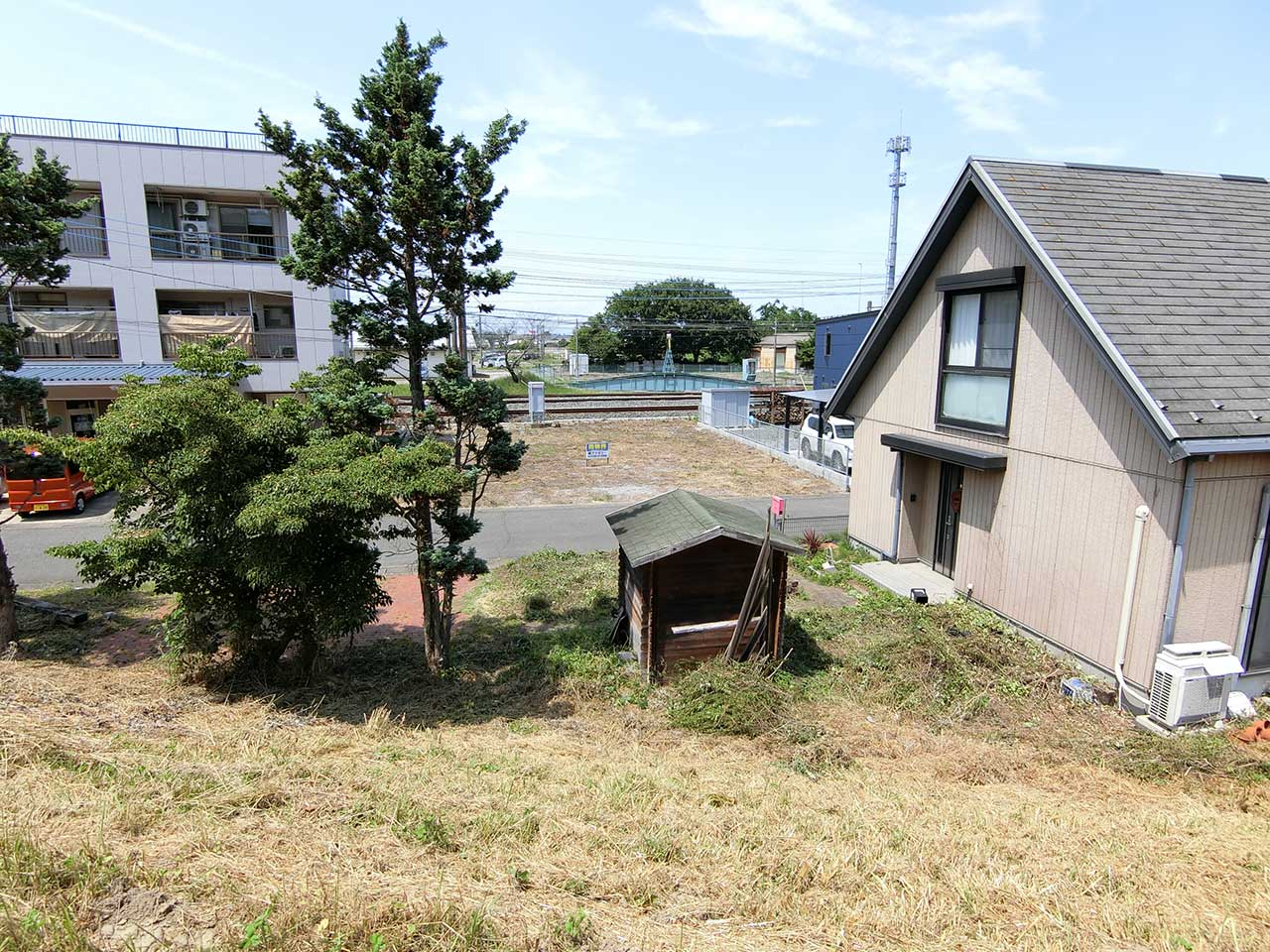 写真