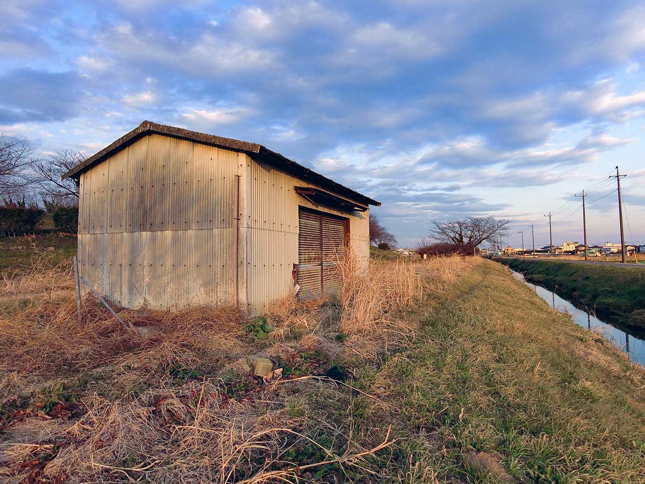 写真